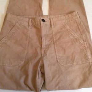 American Eagle Outfitters Velvet Jeans Size 8 Short